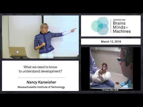 7.3 - What we need to know to understand development