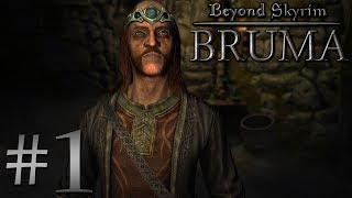 Dark Streams: Beyond Skyrim: Bruma [01] - "Davian's Journey"