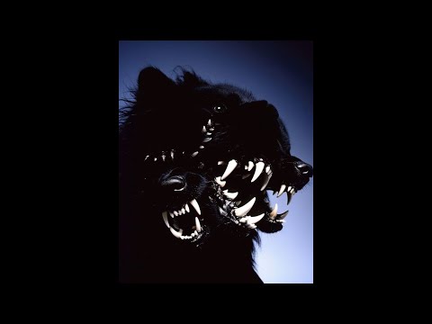 Zola x Oboy Type Beat - "Maudit" (prod. dibi)