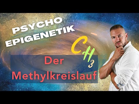 Die Methylierung -  SO optimierst du deinen Methylkreislauf