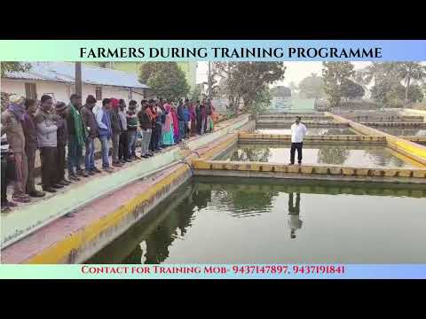 2 mm granules 25 kg kailash growth floating fish feed, packa...