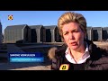 Eerste kleine en verplaatsbare huizen van bouwbedrijf Heijmans staan in Veldhoven