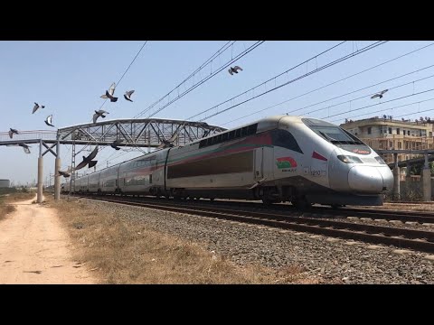 ONCF TGV Al Boraq 1210 dans un moment incroyable + sifflet salutaire (1080p 60 FPS)