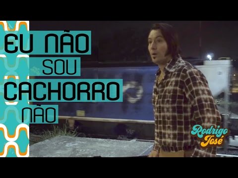 Eu Não Sou Cachorro Não video