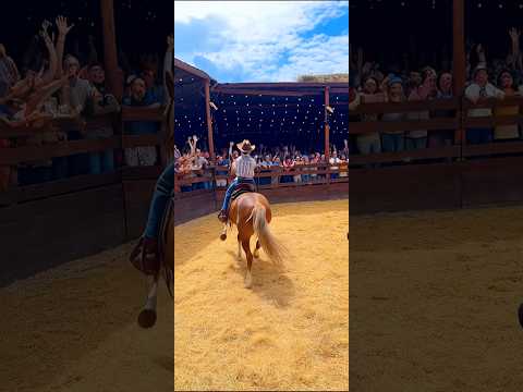 Encostou no cavalo… olha o que rolou! 🐎🔥#cowboy#inteligenciaartificial #viralvideo