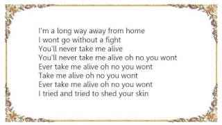 Chris Cornell - Take Me Alive Lyrics