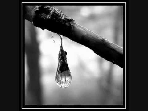 tal para cual - emanuel ortega