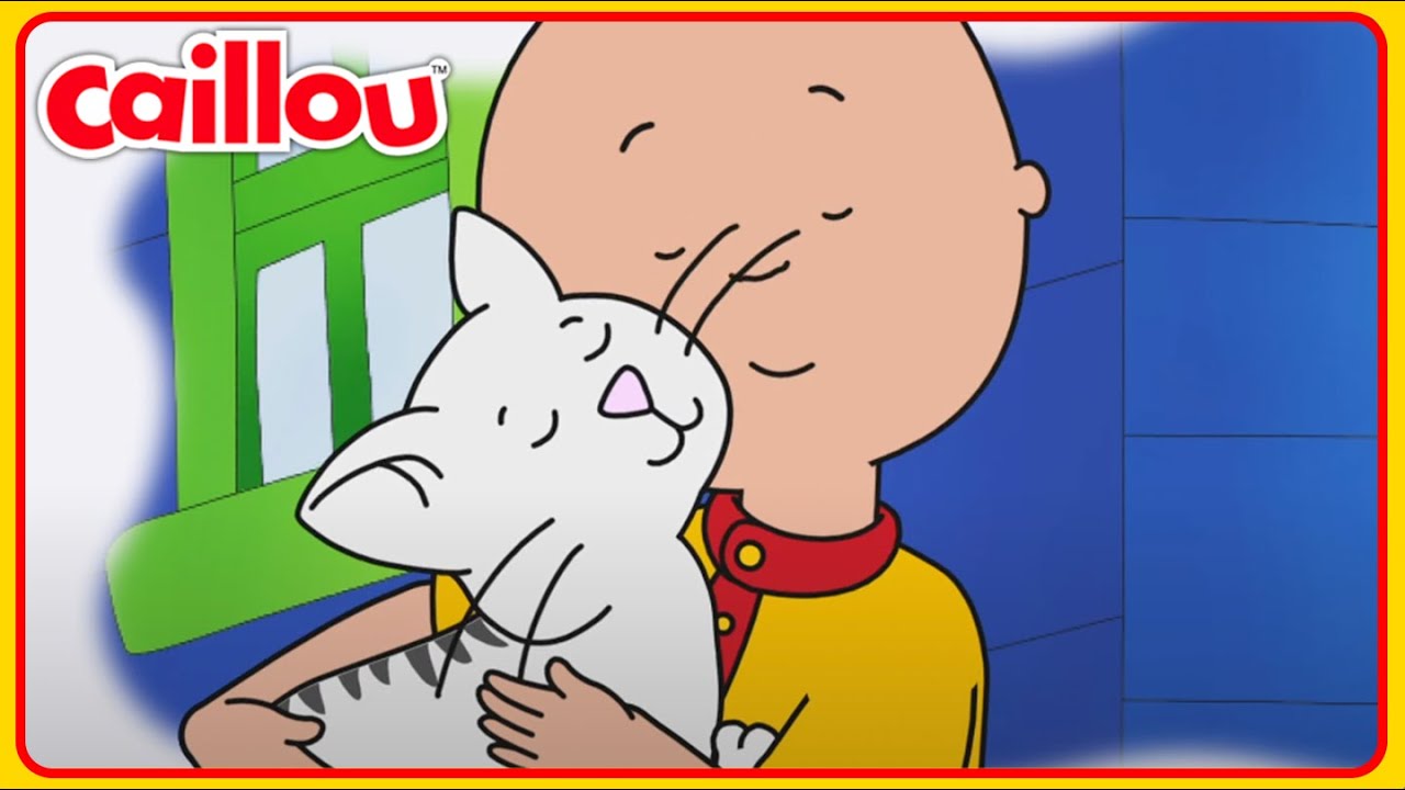 Caillou's Kitty Conundrum | Classic Caillou