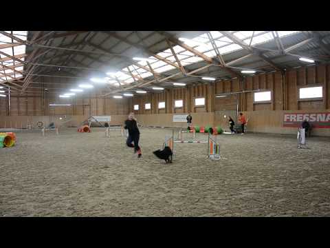 Topi Jumping futam II  TordasZoo Teli kupa 20191109