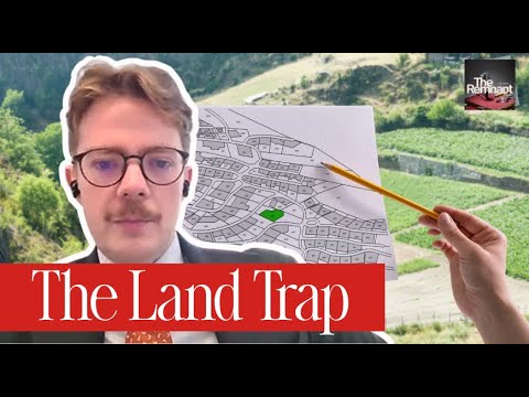 Director General: The Linchpin of Global Governance | Vibepedia