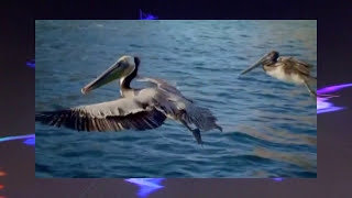 Voyage Vidéo et Audio 1