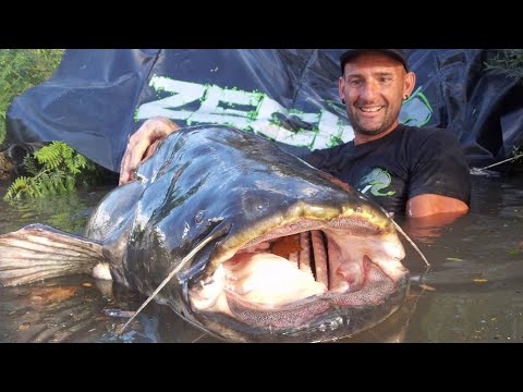STRONGEST MAN VS STRONGEST CATFISH OVER 230 LBS - HD by YURI GRISENDI