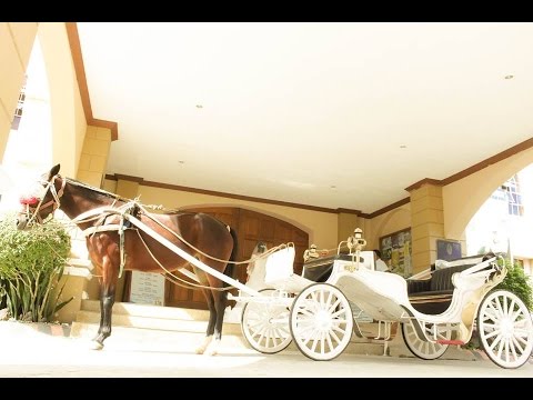 Horse Carriage Bridal Car - Wedding - Celebration - Event - Service