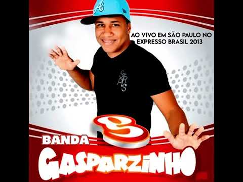 JOÃO DE BARRO- GASPARZINHO