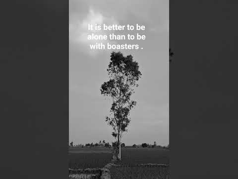 Harmeet thought #music #lofi #slowedandreverb #quotes #thoughts #art #philosophy