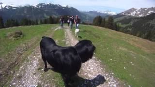 preview picture of video 'Walking up Isenau'