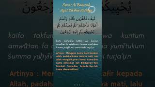 Download lagu Surat Al Baqarah Ayat 28 dan Artinya #albaqarah #quranchapter #terjemahanalquran #freepalestine mp3 Download lagu Surat Al Baqarah Ayat 28 dan Artinya #albaqarah #quranchapter #terjemahanalquran #freepalestine mp3