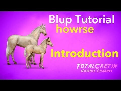 Howrse - How To Blup Any Breed - Introduction