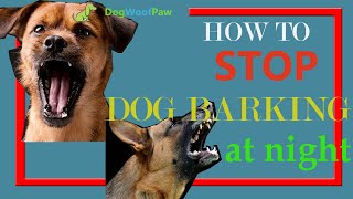 How to Stop Your Dog Barking At Night | DOG WOOF PAW
