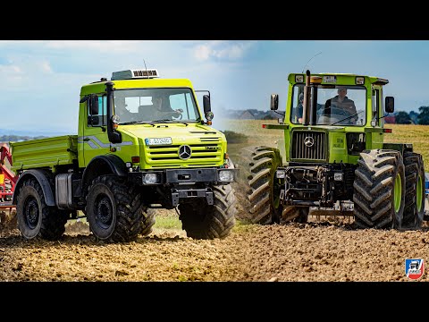 UNIMOG U2400, MB-Trac 1600/700 | Horsch 5-meter cultivator & Güttler roller | Is the MOG at its l...