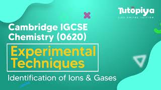 Identification of Ions and Gases