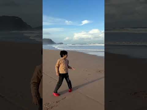 Avoca beach Sydney Australia