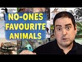 No One's Favourite Animals, by Richard Lindesay 🎶