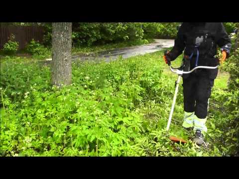 Brush cutter Stihl KM 130