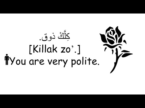 Saying Please, Thank you, Sorry, Excuse me,CommonCourtesy-Learn Levantine Lebanese  ArabicwithAngela