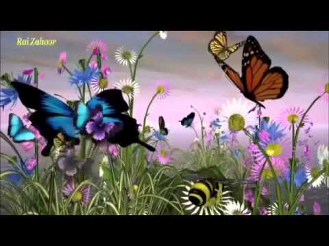 Bushra Sadiq Mahiye   بشرئ صادق