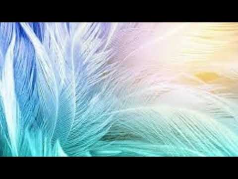 Song-  Feathers, Archie and Fareoh (free download)