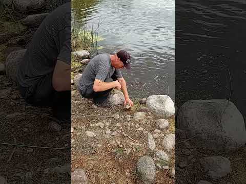 Pike On The Ultralight