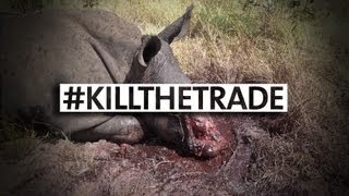 WARNING: The Real Face Of Rhino Poaching