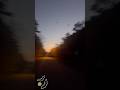 Bats Gonna Swarm Around Me Like Bat Man Again But The Cars Scared Them Away Mother Nature Nifty Rich