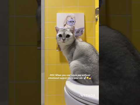 When Your Cat Becomes Your Bathroom Buddy 😹🧻 | Custom Pet Art by Artzuzu