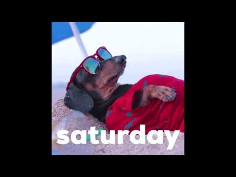 Modjo Lady Hear Me Tonight x David Guetta Kid Cudi Mash Up 2022