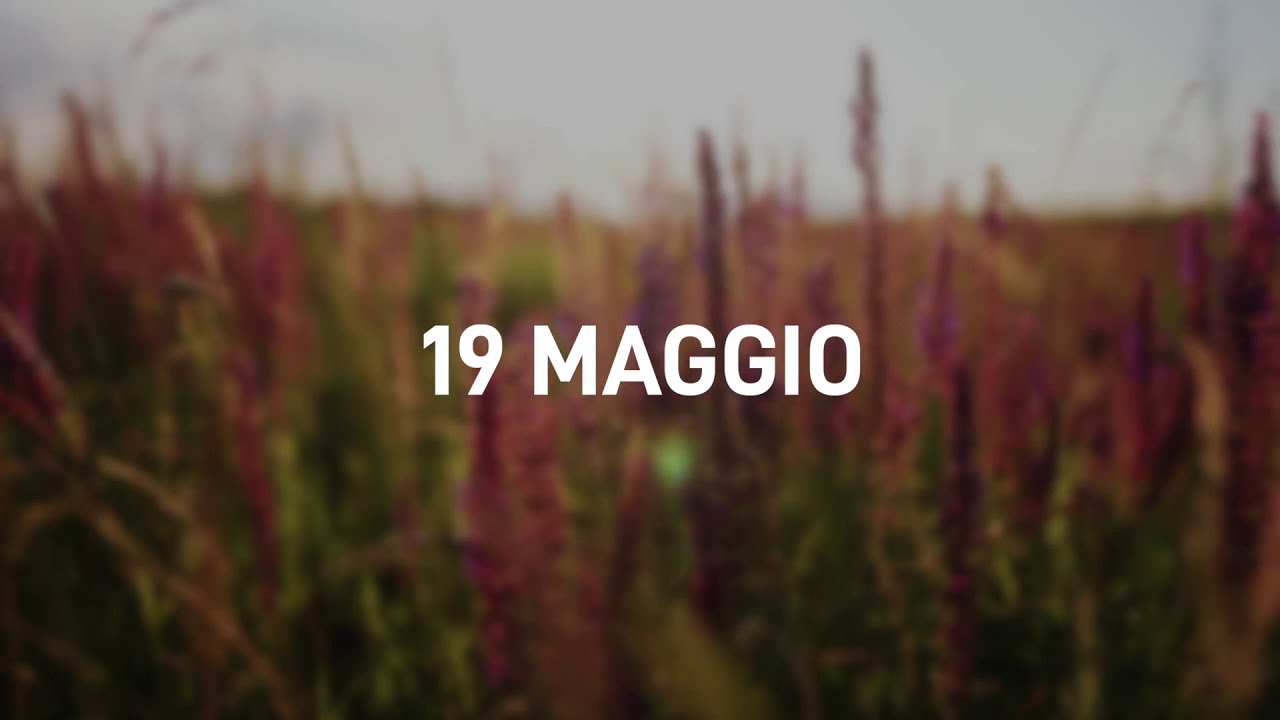 19 Maggio 2025 | Meditazione Parole di Vita