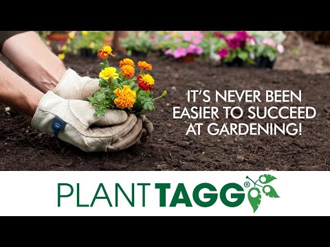 PlantTAGG Plant Care Gardening