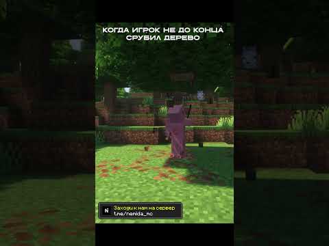 Обложка видео-обзора для сервера Nemida MC