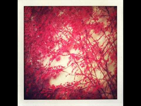Philip Bader & Nicone - Red Leaf (Original Mix).wmv