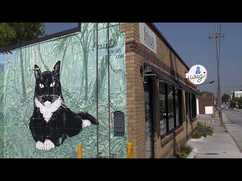 Hot Coffee and Cool Cats and More | Nebraska Stories | NET Nebraska
