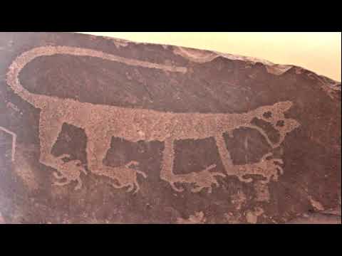 Musicdialogue.world - Musicdialogue.world 14