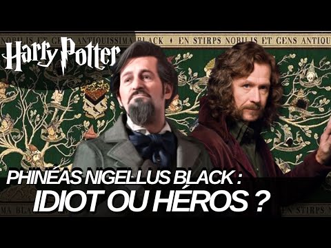 PHINEAS NIGELLUS BLACK EST-IL VRAIMENT UN IDIOT ?
