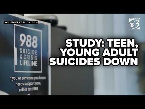 Teen and young adult suicides fell 11% after 2022 launch of ...