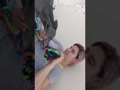 Alices Adventures video.