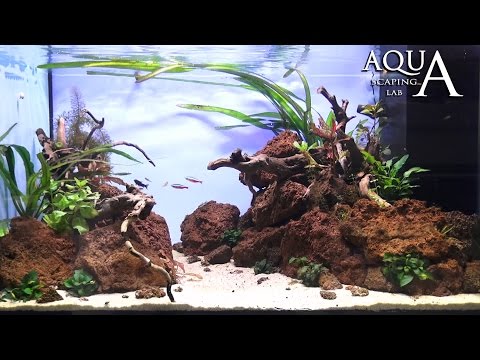 Aquascaping Lab - Tutorial Natural Aquarium Volcanic rocks "Red Passion" (size 80x50x40h 160L)