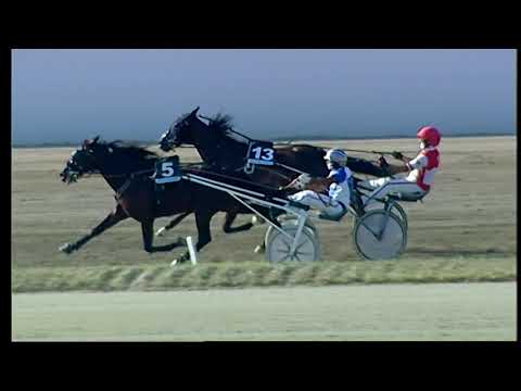 Napoli Trotto 24/09/2021 - 4ª corsa