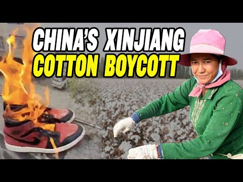 China Triggers Outrage Over Xinjiang Cotton Boycott | H&M and Nike Get Hit!
