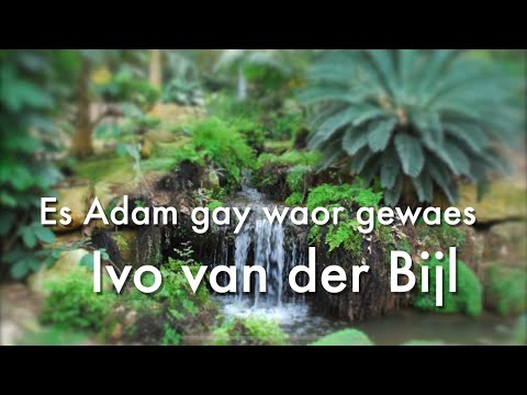 Es Adam gay waor gewaes - Ivo van der Bijl LVK 2023