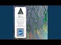 Fitzpleasure (Dave Sitek Remix) 